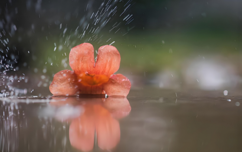 今夜，有雨敲窗