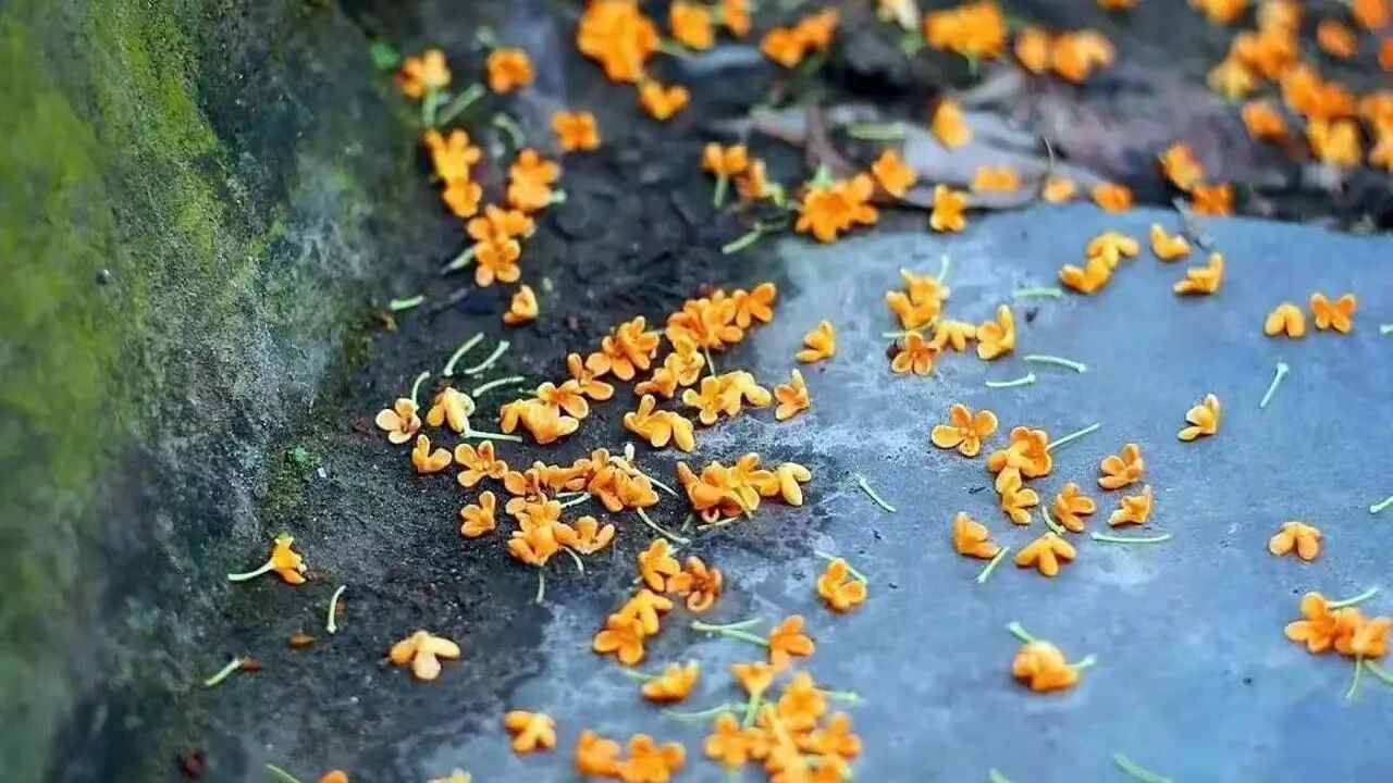 微信图片_2025-10-09_141814_139