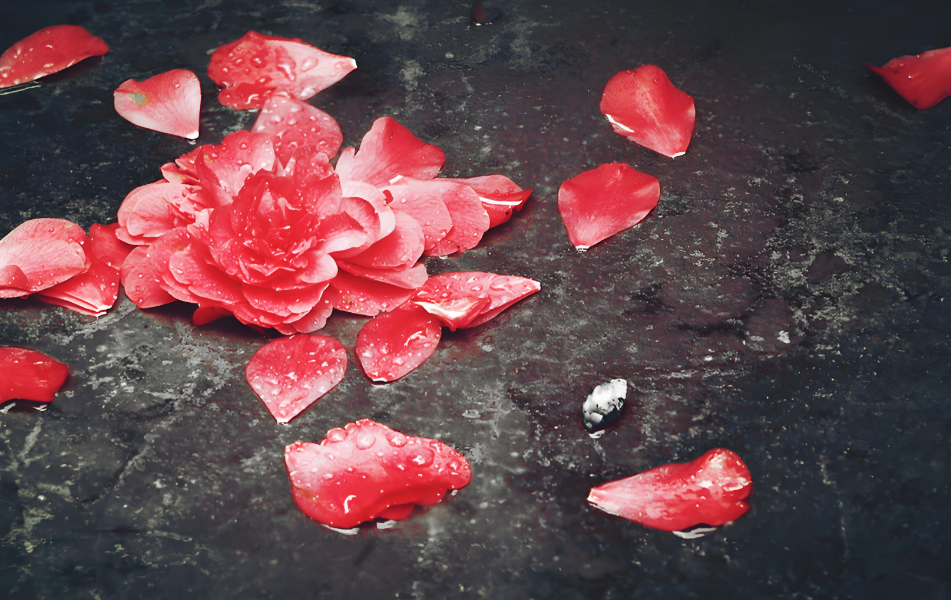 微信图片_2025-10-09_141820_251