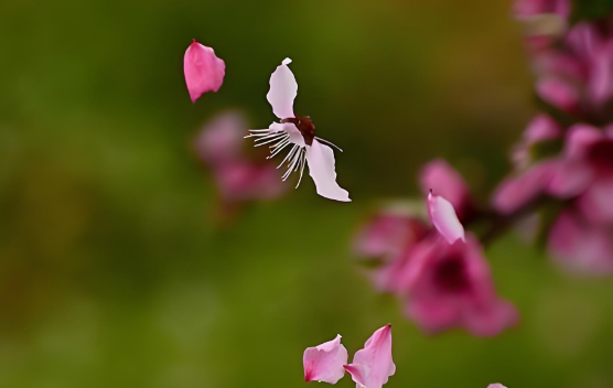 微信图片_2025-10-09_141825_925