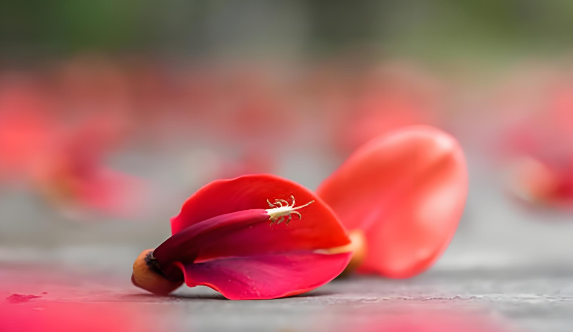 微信图片_2025-10-09_141829_023