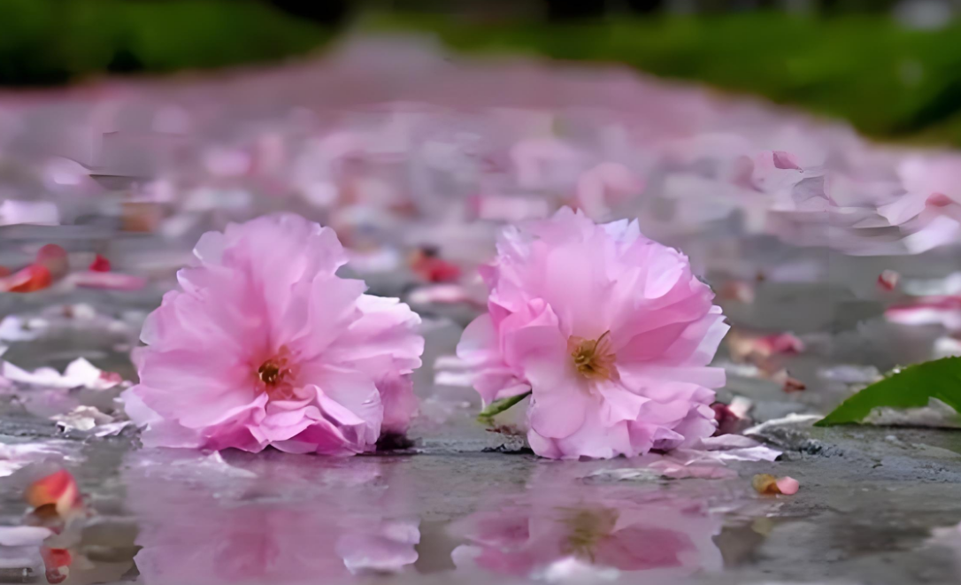 微信图片_2025-10-09_141832_190