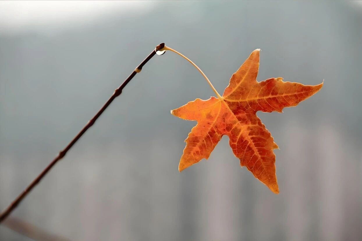 微信图片_2025-11-03_135007_535