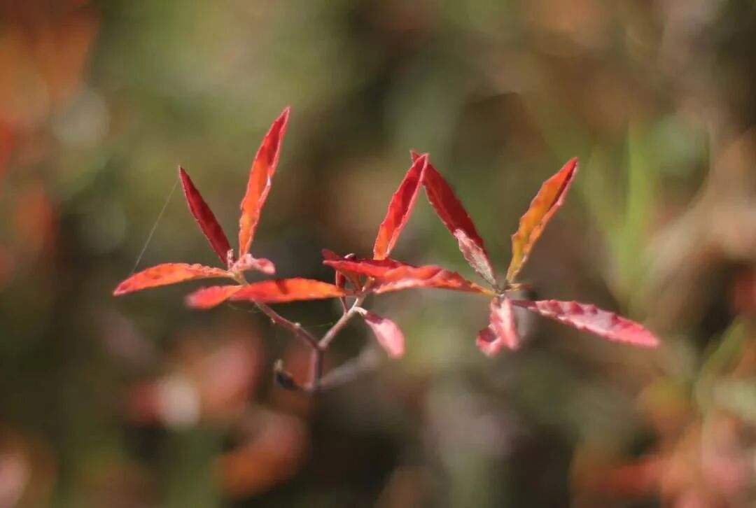 微信图片_2025-11-03_134843_135