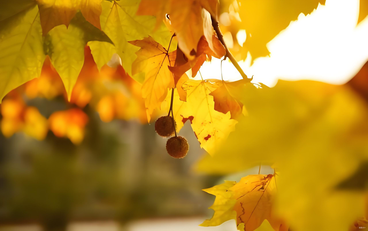 微信图片_2025-11-03_135013_010