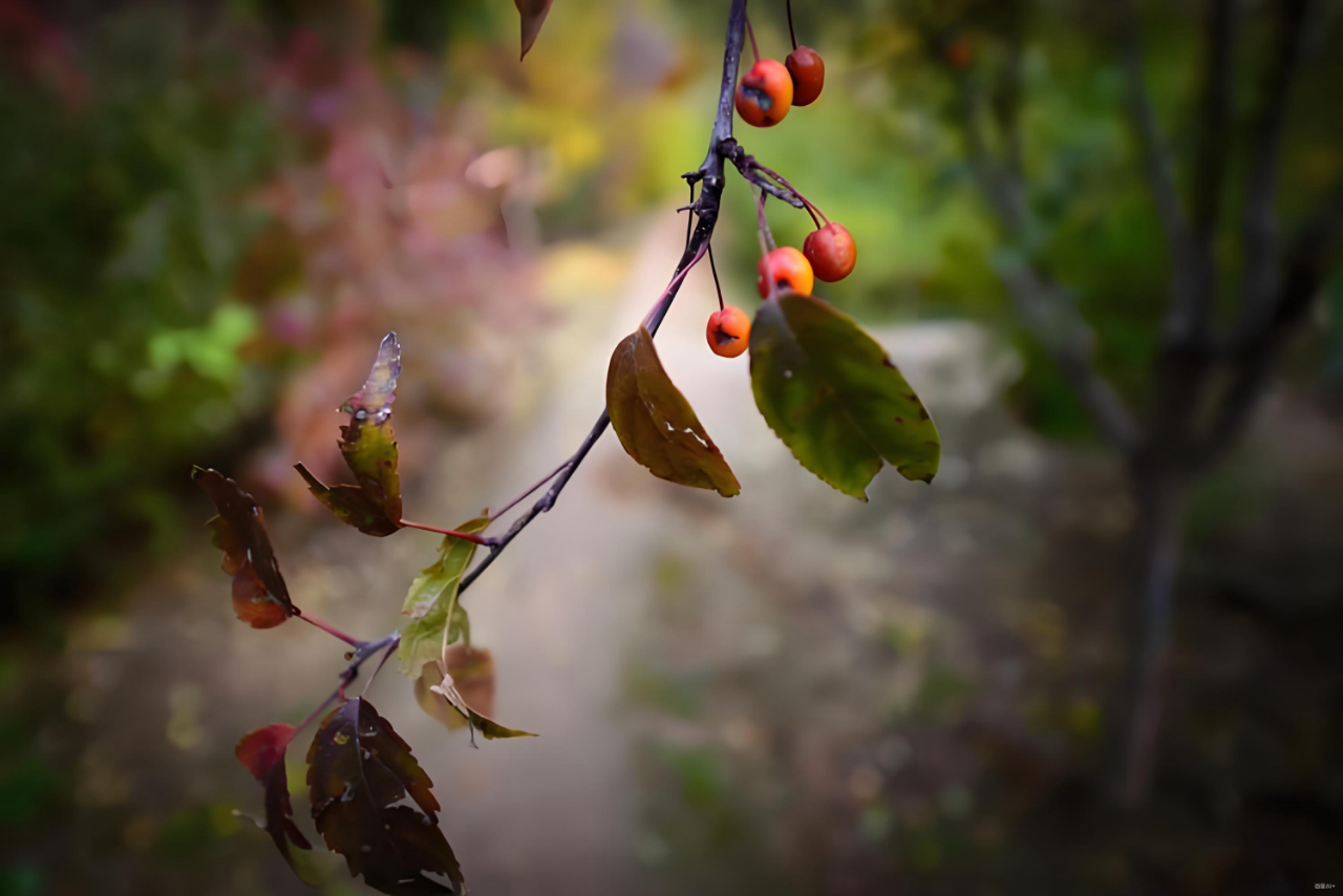 微信图片_2025-11-03_135022_991