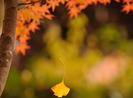 微信图片_2025-11-03_135026_578